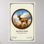 Bactrisch hert zoölogische serie poster (Voorkant)