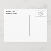 Bactrische kameel Mongolië Briefkaart (Achterkant)