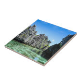 Bacuit-archipel-eilanden Tegeltje (Zijkant)