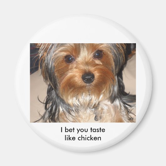 Bad Dog Magneet (Voorkant)