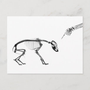 Bad Dog X-Ray Skeleton in zwart-wit Briefkaart