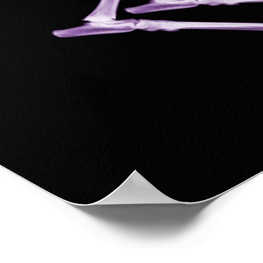 Bad Dog Xray Skeleton Black Paars Poster (Hoek)