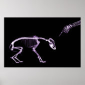 Bad Dog Xray Skeleton Black Paars Poster (Voorkant)
