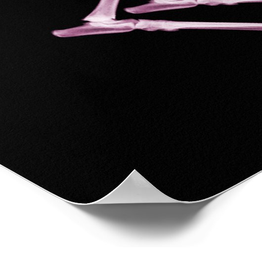 Bad Dog Xray Skeleton Black Pink Poster (Hoek)