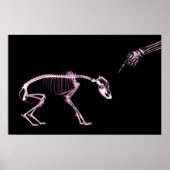 Bad Dog Xray Skeleton Black Pink Poster (Voorkant)