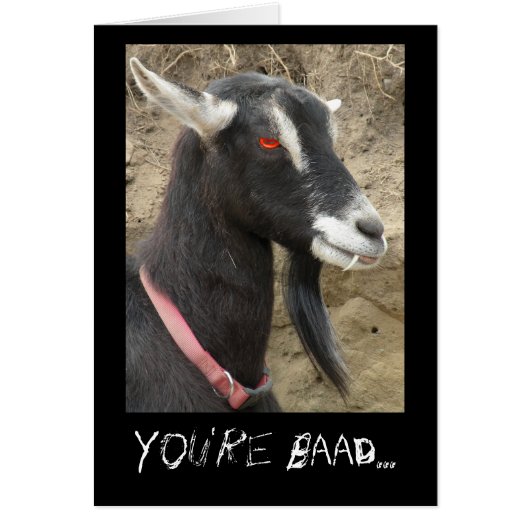 Bad Goat Love You (Voorkant)