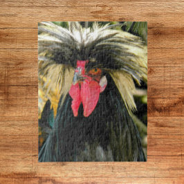 Bad Hair Chicken Photo Legpuzzel