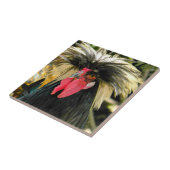 Bad Hair Chicken Photo Tegeltje (Zijkant)