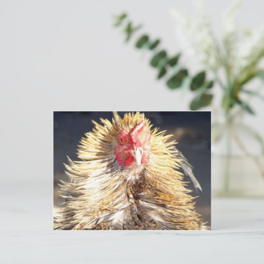 Bad Hair Day Briefkaart (Staand voorkant)