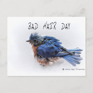 Bad Hair Day Briefkaart