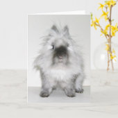 Bad hair day bunny kaart (Gele Bloem)