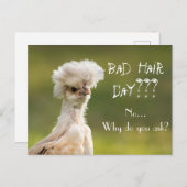 Bad Hair Day Chicken Briefkaart (Voorkant / Achterkant)