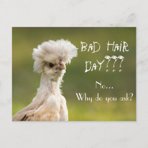 Bad Hair Day Chicken Briefkaart