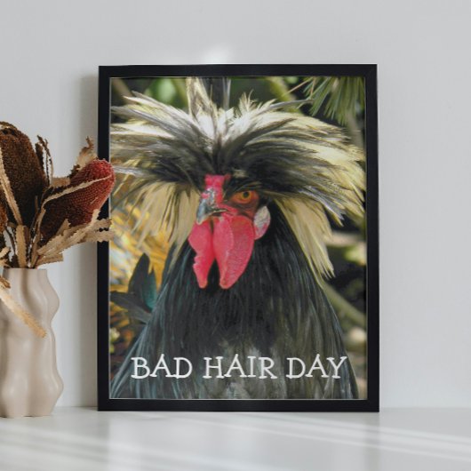 Bad Hair Day Chicken Meme Foto Afdruk