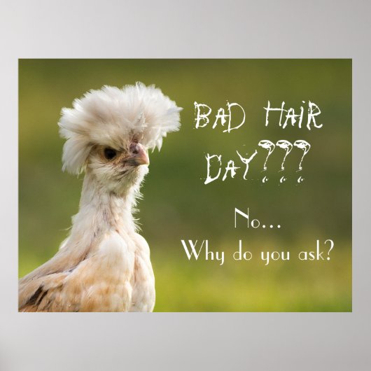 Bad Hair Day Chicken Poster (Voorkant)