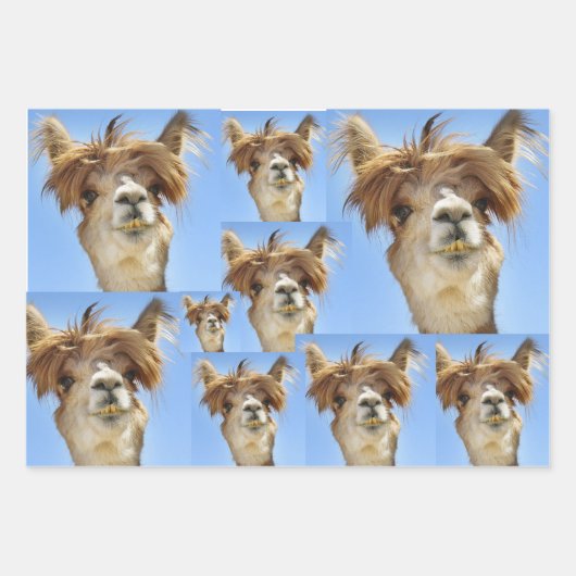 Bad Hair Day Inpakpapier Vel (Voorkant)
