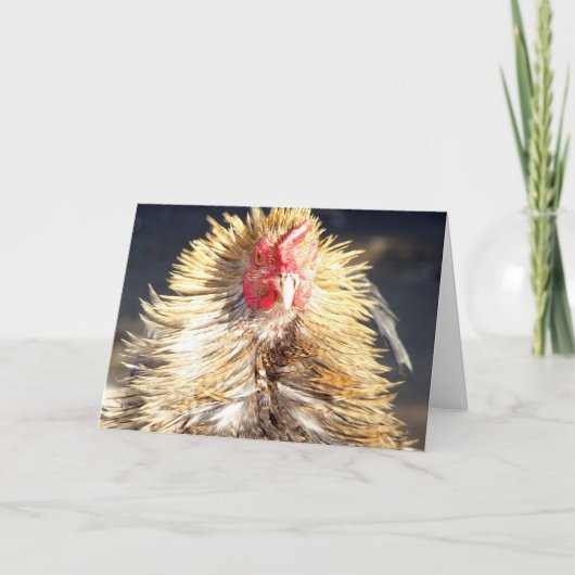 Bad Hair Day Kaart (Voorkant)