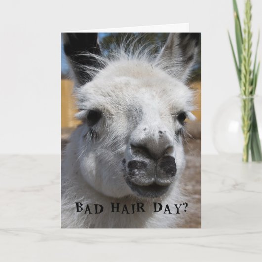 Bad Hair Day Kaart (Voorkant)