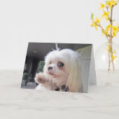 Bad Hair Day Kaart (Gele Bloem)