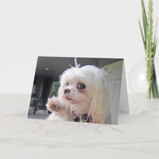 Bad Hair Day Kaart (Voorkant)