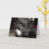 Bad Hair Day Kaart (Gele Bloem)