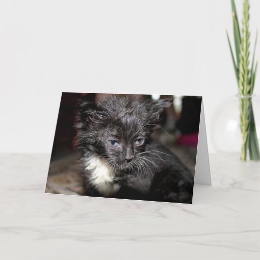 Bad Hair Day Kaart (Voorkant)