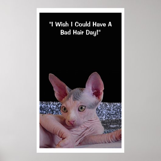 "Bad Hair Day" Poster (Voorkant)