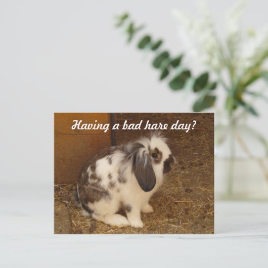 Bad Hare Day Briefkaart (Staand voorkant)
