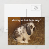 Bad Hare Day Briefkaart (Voorkant / Achterkant)
