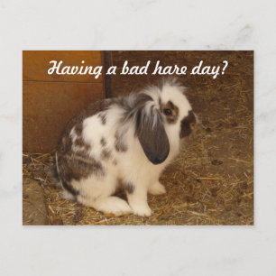 Bad Hare Day Briefkaart