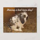 Bad Hare Day Briefkaart (Voorkant)