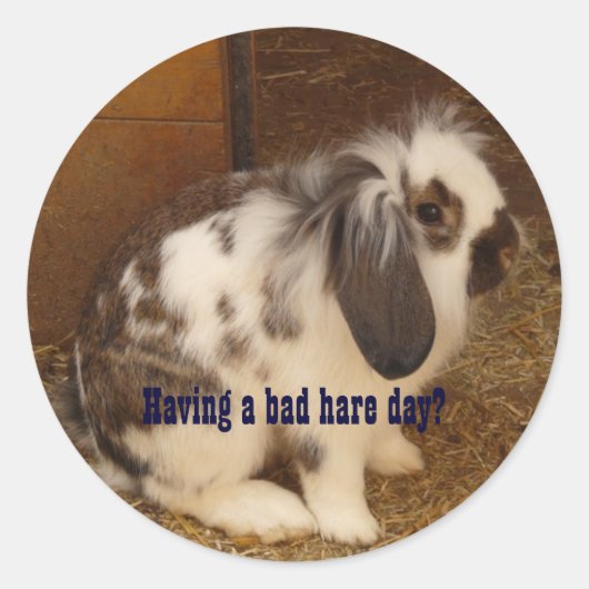 Bad Hare Day Stickers (Voorkant)