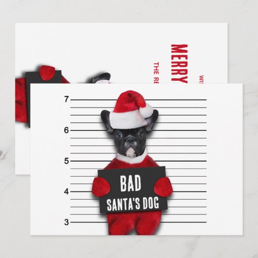Bad Santa's Dog Mugshot Funny Kerstmis Feestdagenkaart (Voorkant / Achterkant)