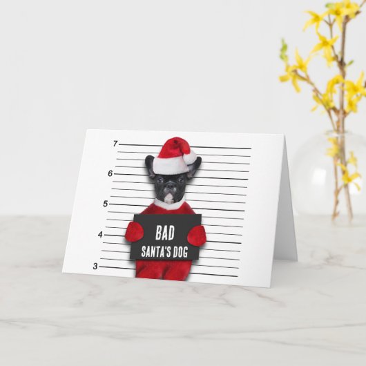 Bad Santa's Dog Mugshot Funny Kerstmis Kaart (Gele Bloem)