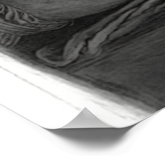 Bad Sign Poster (Hoek)