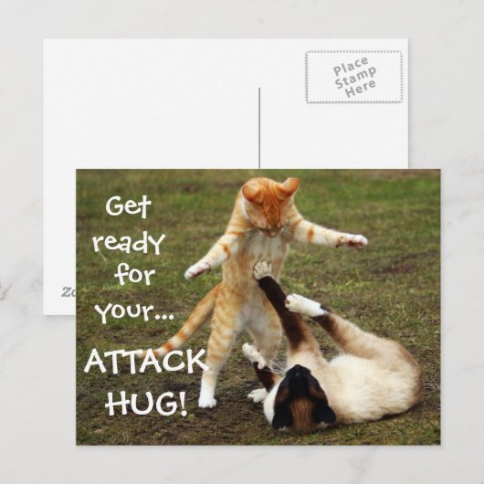 Badass Cats - Attack hug Briefkaart (Voorkant / Achterkant)