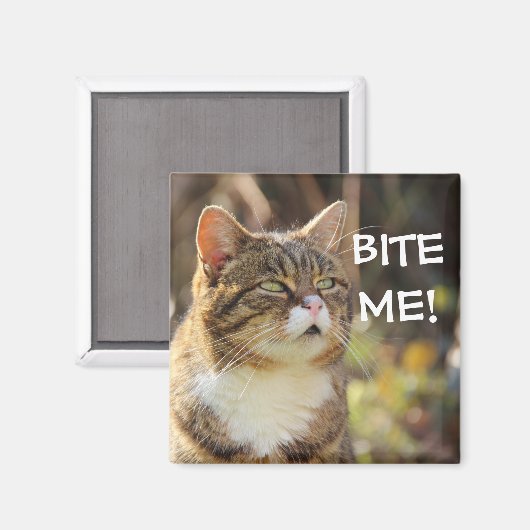 Badass Cats - "BITE ME!" Magneet (Voorkant / Achterkant)