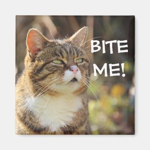 Badass Cats - "BITE ME!" Magneet