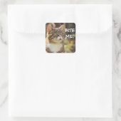 Badass Cats - "BITE ME!" Vierkante Sticker (Tas)