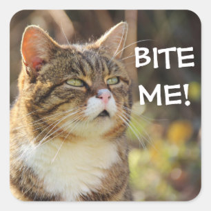 Badass Cats - "BITE ME!" Vierkante Sticker