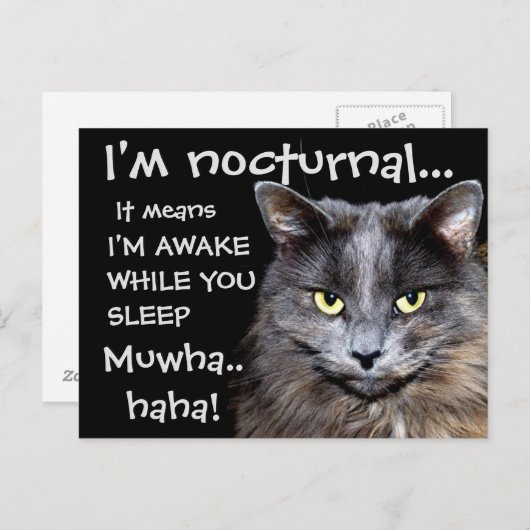 Badass Cats Briefkaart (Voorkant / Achterkant)