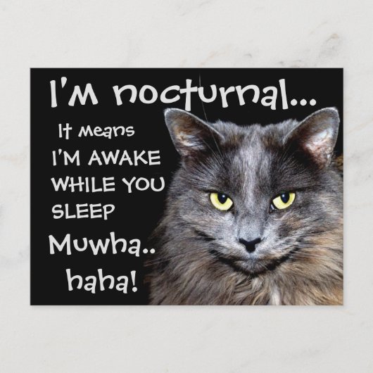 Badass Cats Briefkaart (Voorkant)