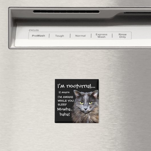 Badass Cats - "Ik ben nachtelijk..." Magneet (Insitu (Vaatwasser))