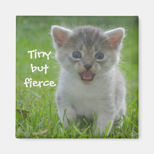 Badass Cats - "Tiny but Fierce" Magneet (Voorkant)