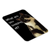 Badass Cats "Waar kijk je naar?" Magneet (Rechterzijde)