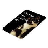 Badass Cats "Waar kijk je naar?" Magneet (Linkerzijde)