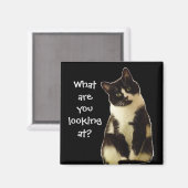 Badass Cats "Waar kijk je naar?" Magneet (Voorkant / Achterkant)