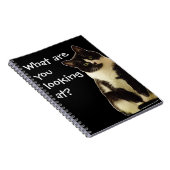 Badass Cats... waar kijk je naar. " Notitieboek (Rechterzijde)