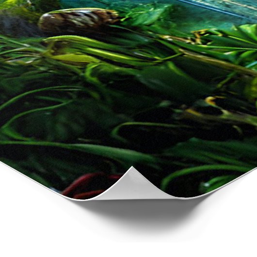 Baden #17 (Portret) Poster (Hoek)