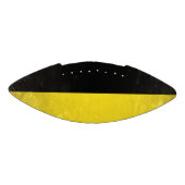 Baden-Württemberg American Football (Paneel)